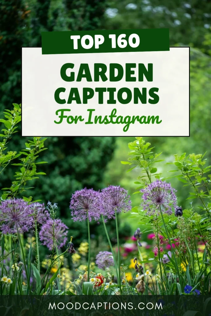160+ Garden Captions for Flowers, Plants & Blooming Feeds – Image 5