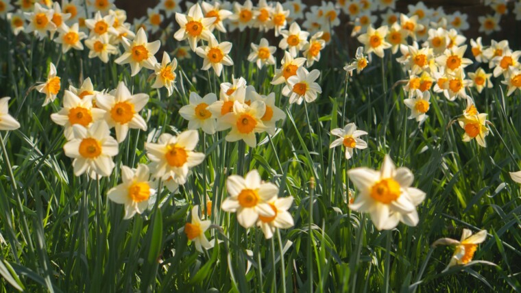 160+ April Captions for Spring, Rainy Days & Fresh Starts – Image 27