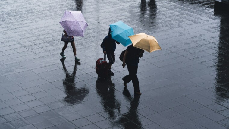 175+ Rain Captions for Cozy, Aesthetic & Rainy Day Vibes – Image 27