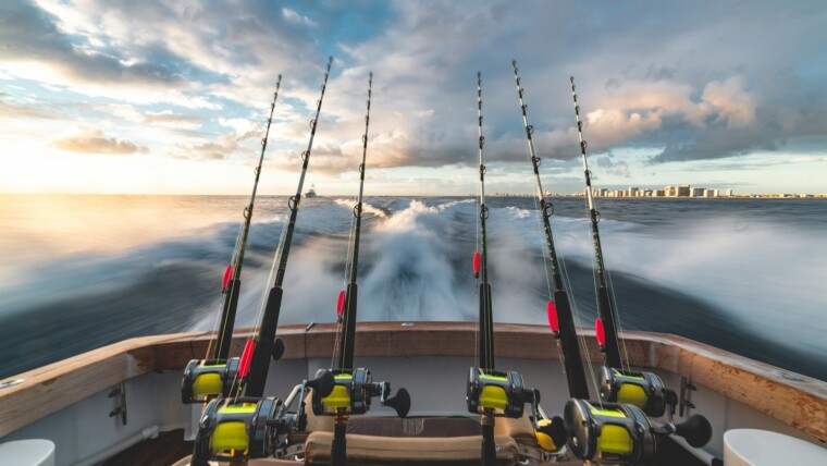 170+ Fishing Captions for Reel, Catch & Boat-Lover Moments – Image 37