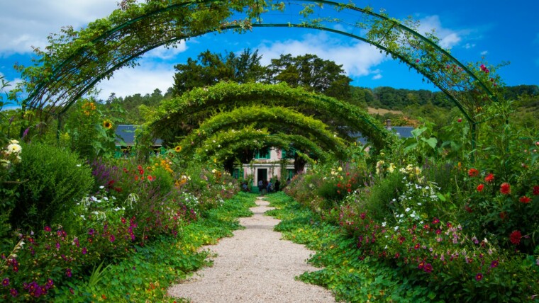 160+ Garden Captions for Flowers, Plants & Blooming Feeds – Image 39