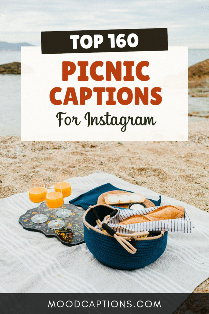 160+ Picnic Captions for Sunny Days & Outdoor Feasts – Image 5