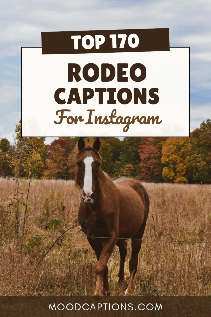 170+ Rodeo Captions for Western, Cowboy & Country Feeds – Image 5