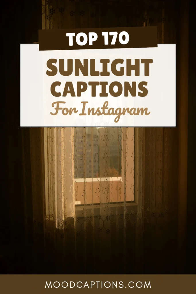 170+ Sunlight Captions for Golden Hour & Warm Vibes – Image 5