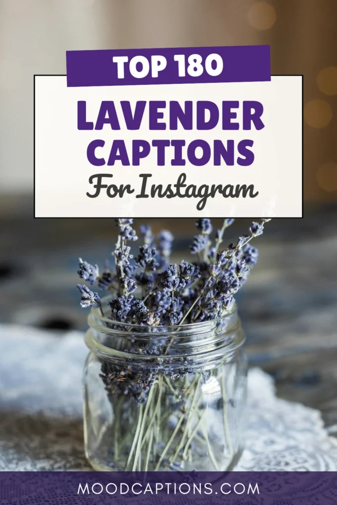 180+ Lavender Captions for Calm, Aesthetic & Floral Feeds – Image 5