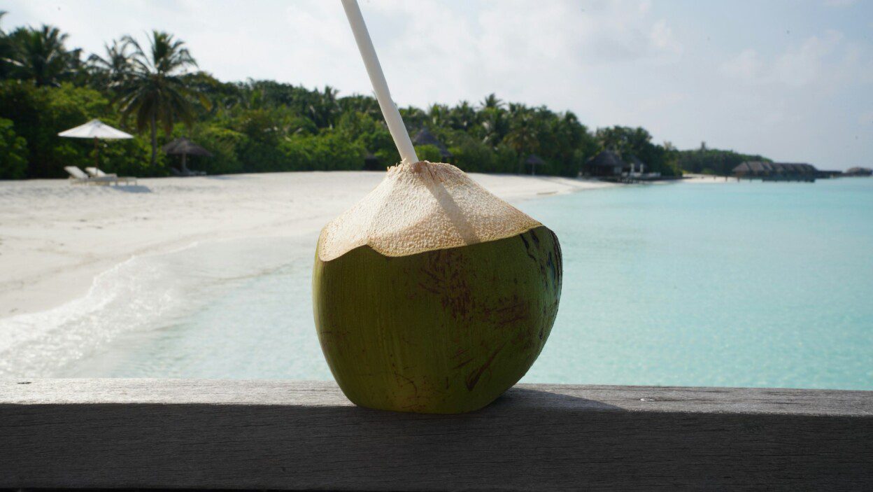 160+ Coconut Captions for Beach, Tropical & Summer Vibes – Image 3