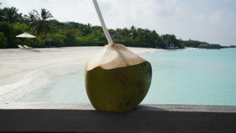 160+ Coconut Captions for Beach, Tropical & Summer Vibes – Image 11