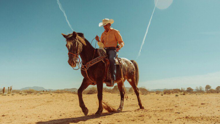 160+ Cowboy Captions for Wild West, Rodeo & Country Feeds – Image 19