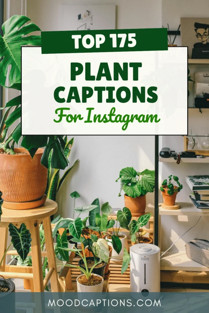 175+ Plant Captions for Every Leaf-Lover & Green Thumb – Image 5