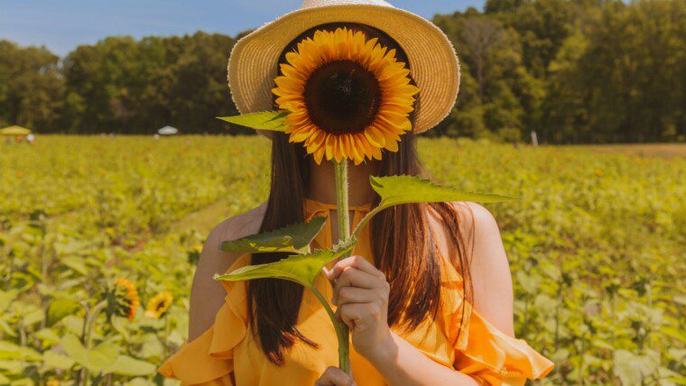 150+ Sunflower Captions for Bright, Happy & Aesthetic Feeds – Image 39