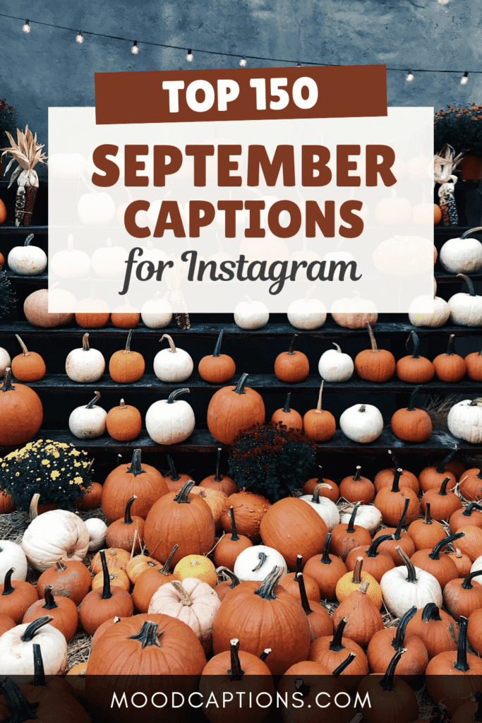 150+ September Captions to Welcome the Start of Fall – Image 5