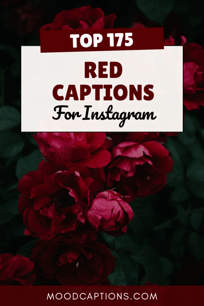 175+ Red Captions for Bold, Fiery & Passionate Posts – Image 5