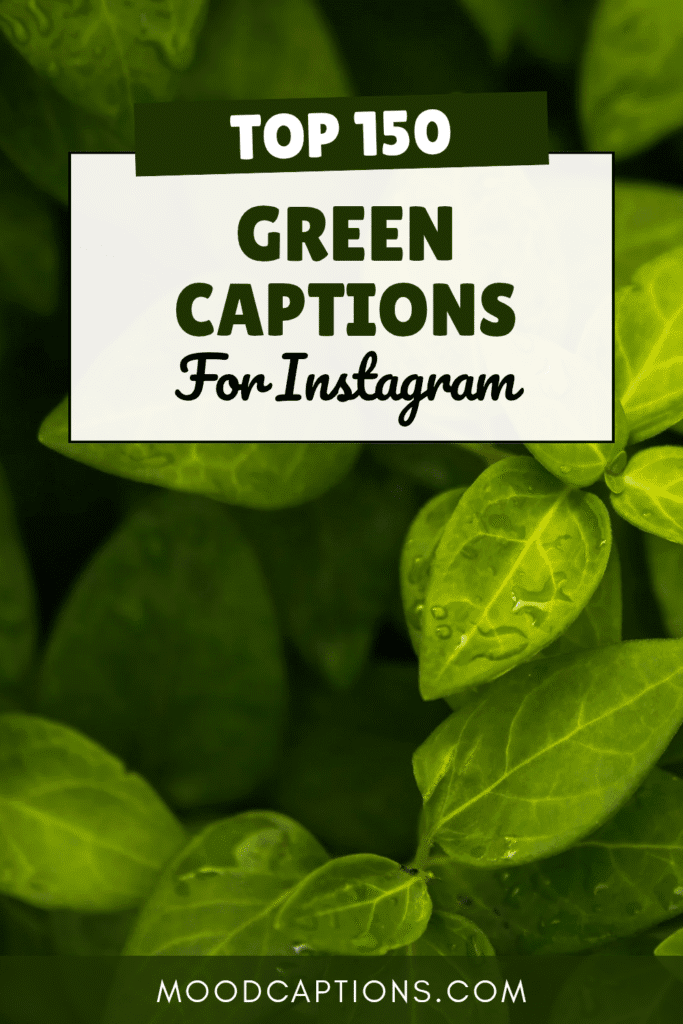 150+ Green Captions for Fresh, Nature & Aesthetic Feeds – Image 5
