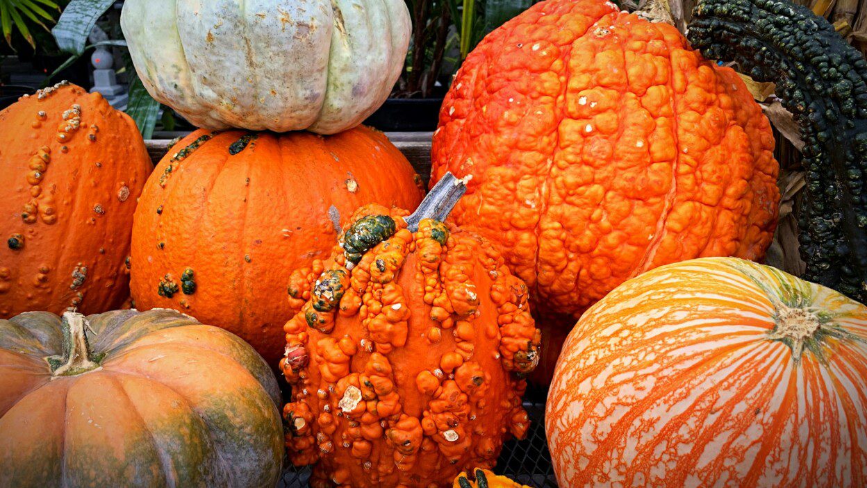 150+ September Captions to Welcome the Start of Fall – Image 3