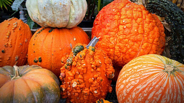 150+ September Captions to Welcome the Start of Fall – Image 35