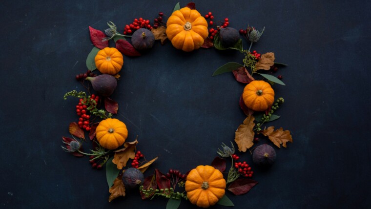 160+ Thanksgiving Captions for Feasting & Family Gratitude – Image 51