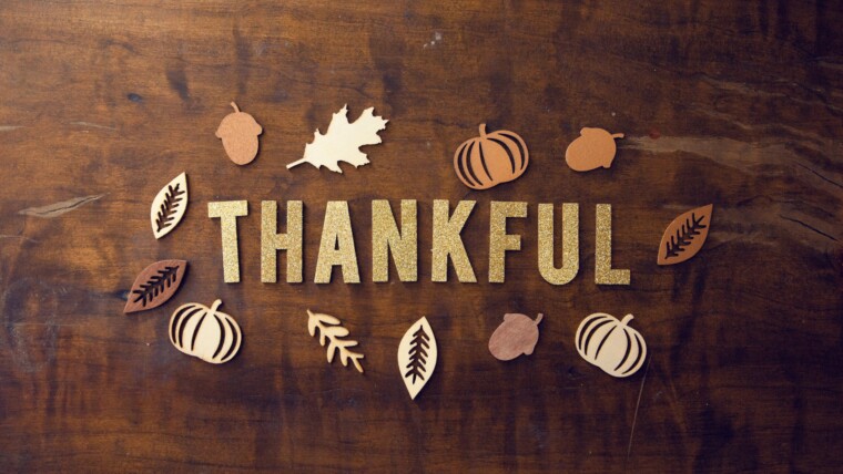 150+ November Captions to Welcome Cozy, Thankful & Festive Vibes – Image 67
