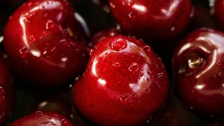 175+ Red Captions for Bold, Fiery & Passionate Posts – Image 13