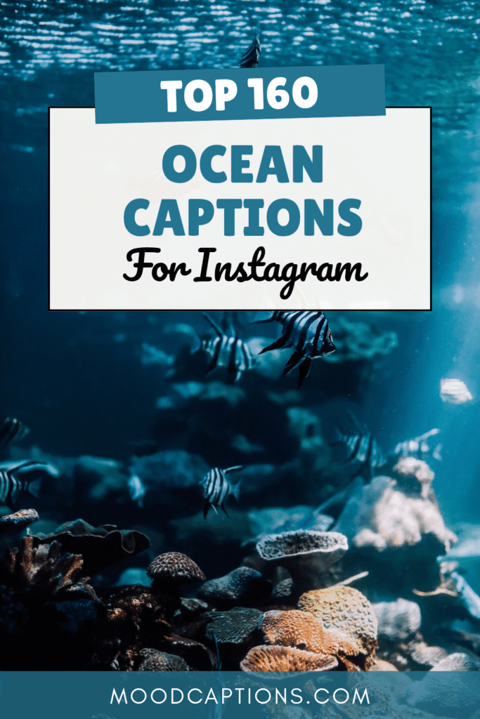 160+ Ocean Captions for Beach Lovers & Wave Chasers – Image 5