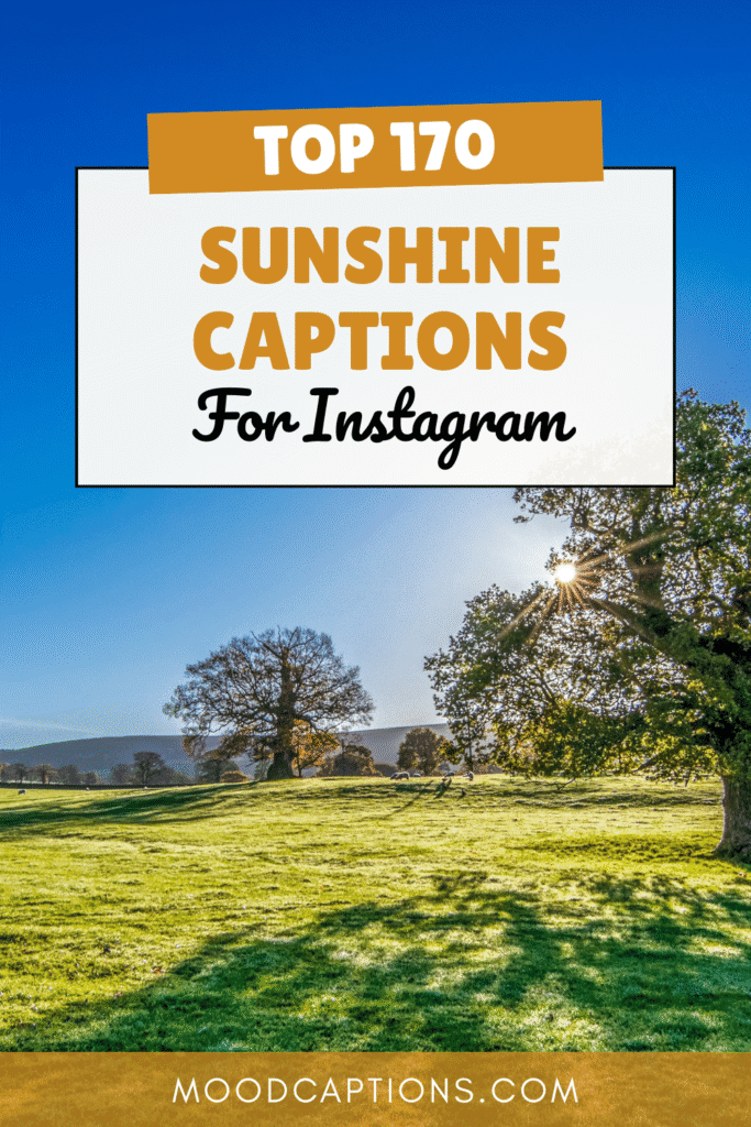 170+ Sunshine Captions for Bright & Happy Feeds – Image 11